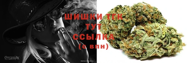 твердый Аркадак
