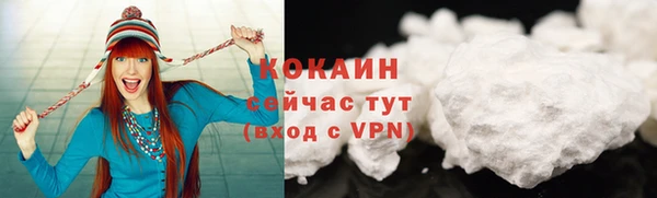 твердый Аркадак
