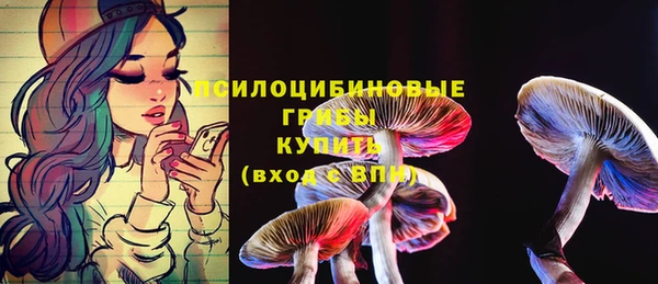 твердый Аркадак