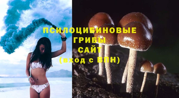 соль курить ск Арсеньев