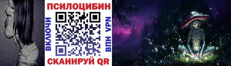Купить закладки  Балтийск  Галлюциногенные грибы мухоморы 